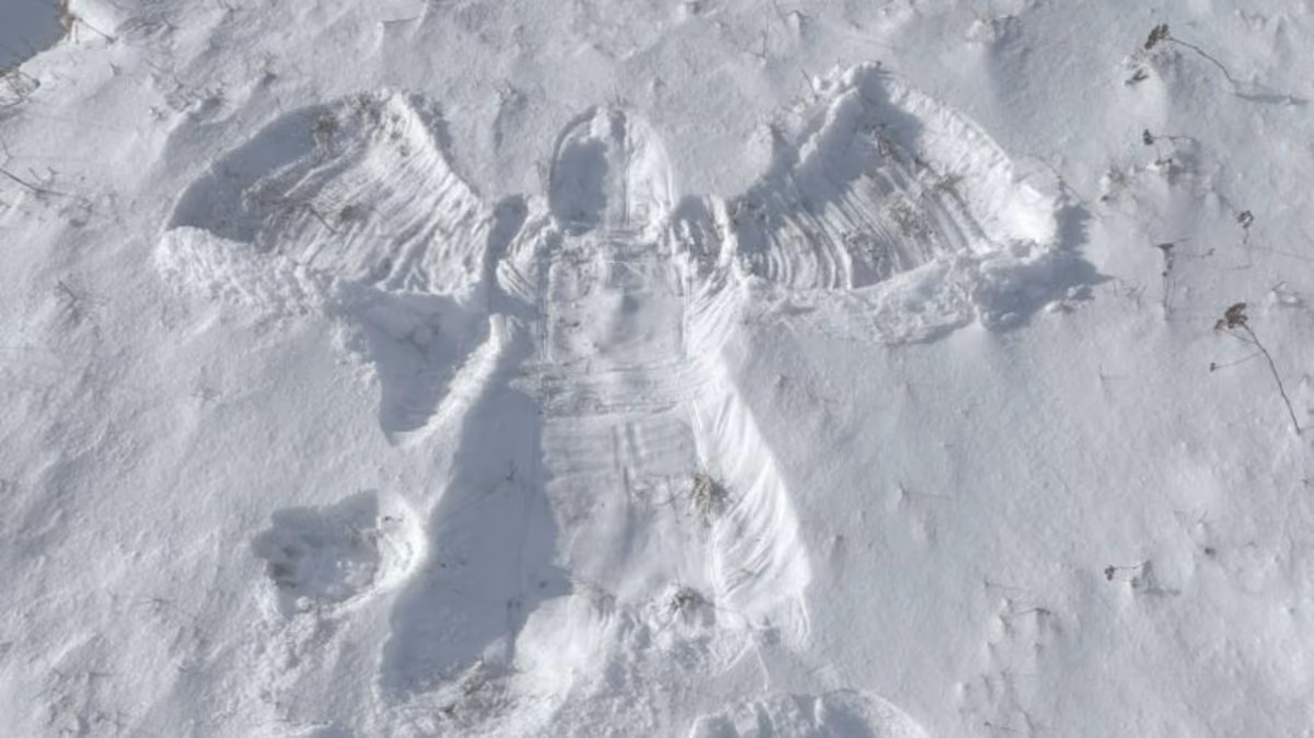 Abdruck eines Schneeengels im frischen, sonnigen Schnee.